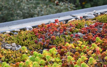 the cost of Bury Green green roof installation