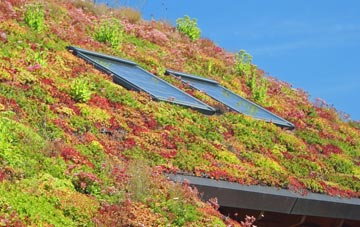 Bury Green living roof systems